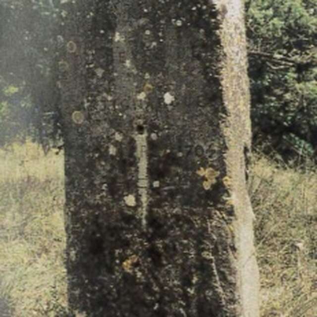 Stèle du Mas Nouguier à Saint Cézaire de Gauzignan