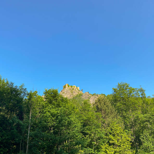 Marche des rossignols