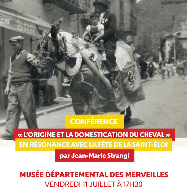 Conférence "L'origine et la domestication du cheval"