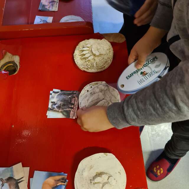 Atelier enfant Saisies - apprentis-pisteurs