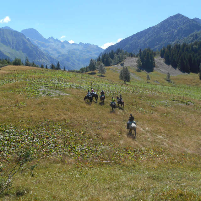 Balades Equestres