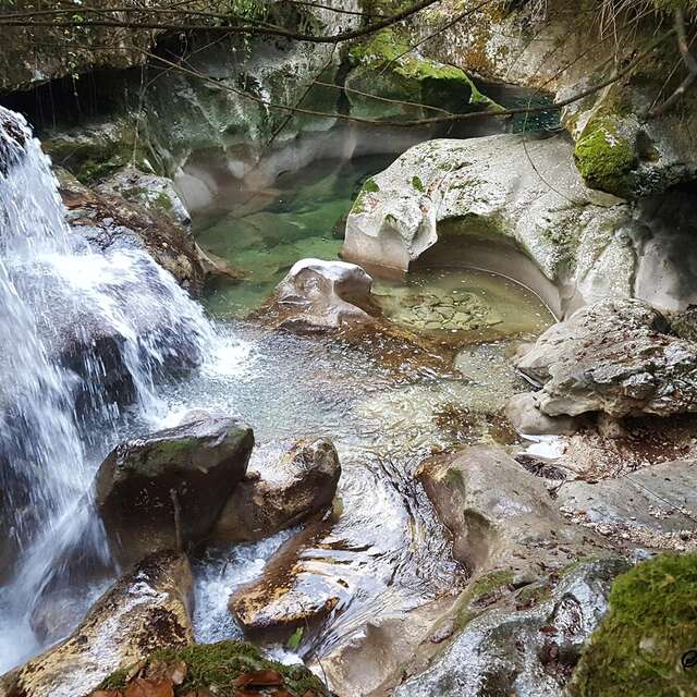 Retrouvance® : hiking tour in the Jura's montains