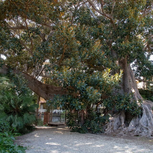 Musée et jardins Bicknell