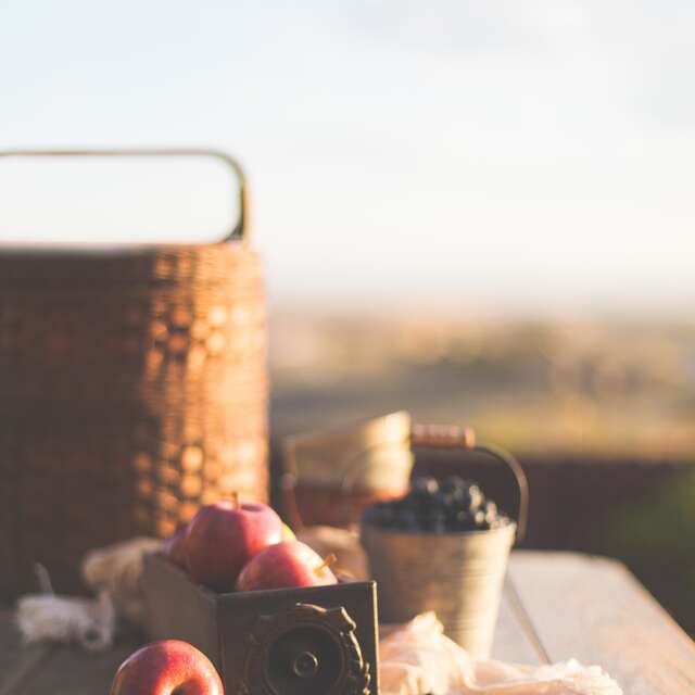 Picnic area - Dingy-en-Vuache