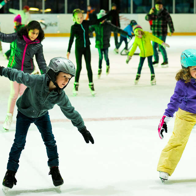 Patinoire du Palladium