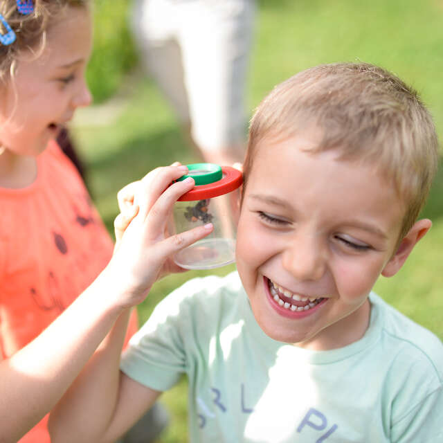 Atelier découverte des insectes pour les petits