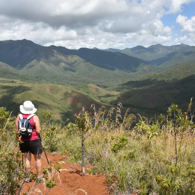 GR® NC1 Stage n°4B :  from Ouénarou to the Tristaniopsis refuge (by the ridges)