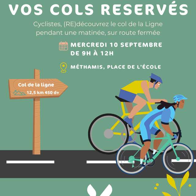 Your reserved passes: "Col de la ligne" (Line pass)