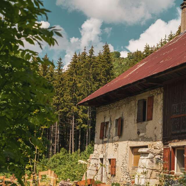 Petite restauration à la ferme du Morbier