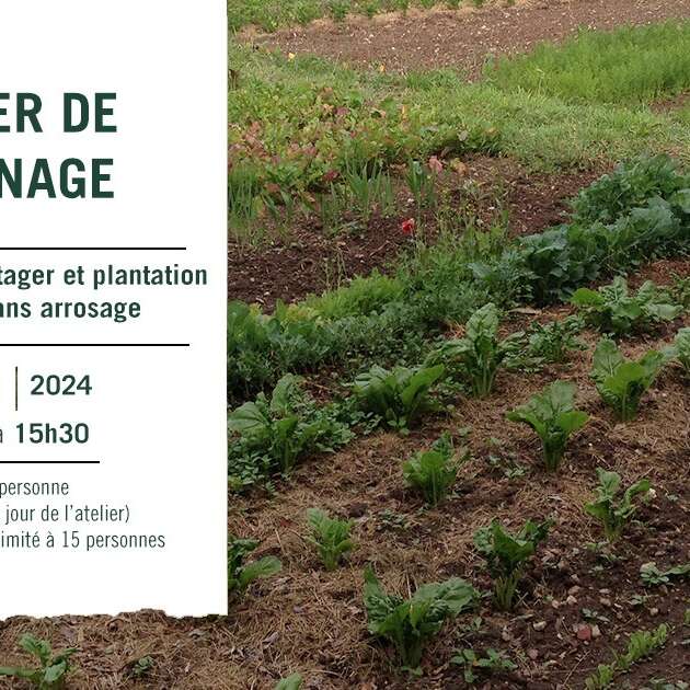 Atelier jardinage : conception d'un potager