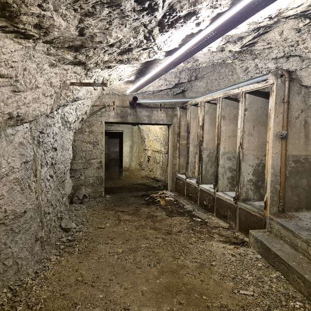 Visite thématique - Abri antiaérien Nézin - Albert Perriol