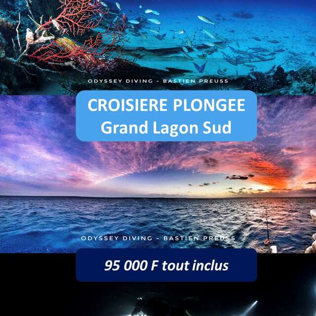 Croisière plongée grand lagon sud