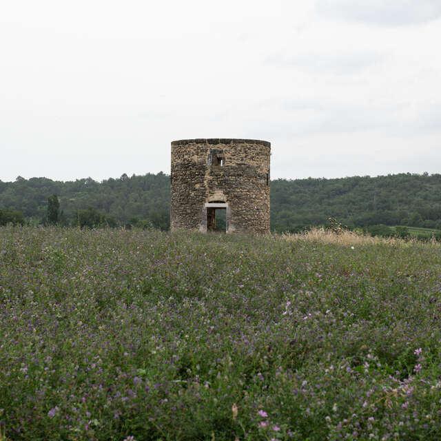 Le Moulin