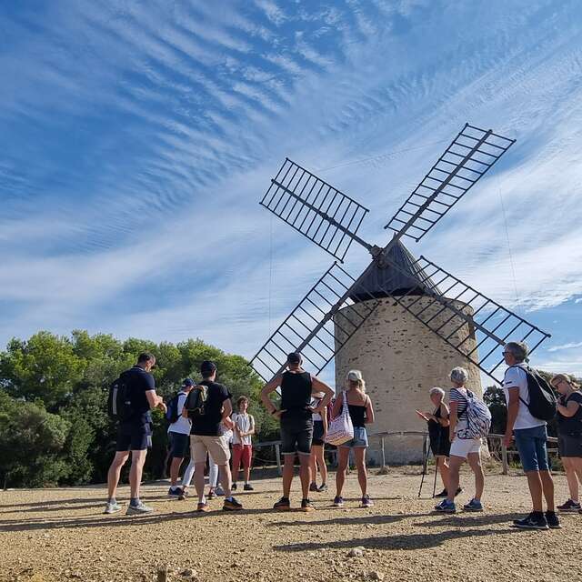 Piratensamen : Piratenpflanzen und Naturschätze von Porquerolles