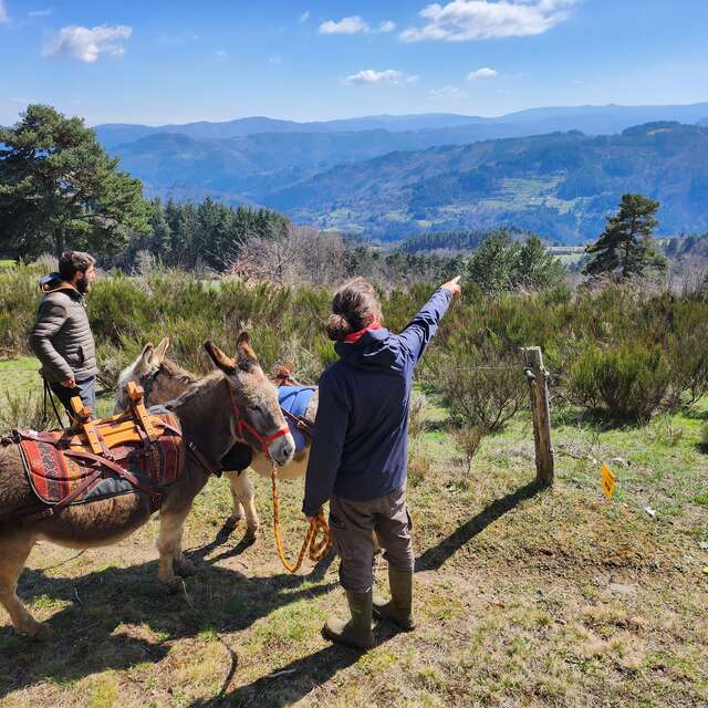 Hiking with a donkey: summer escapes