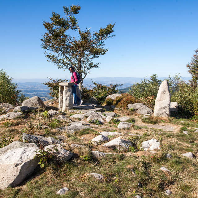 Pierre Pamole, un panorama à 360°
