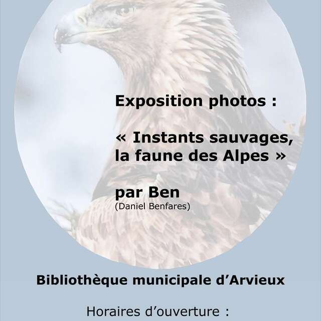 Exposition photos : Instants sauvages, la faune des Alpes