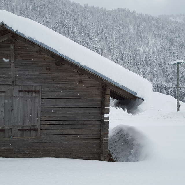 Pedestrian itinerary - snowshoes trail 19 - La Vallée du Bouchet