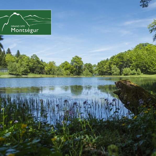 À la découverte d'une tourbière de montagne