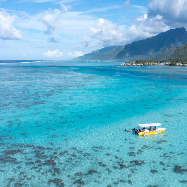 Moorea Tiki Tour