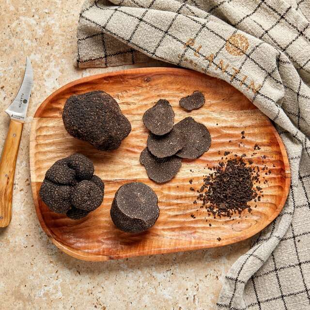 Summer Truffle Festival at Plantin