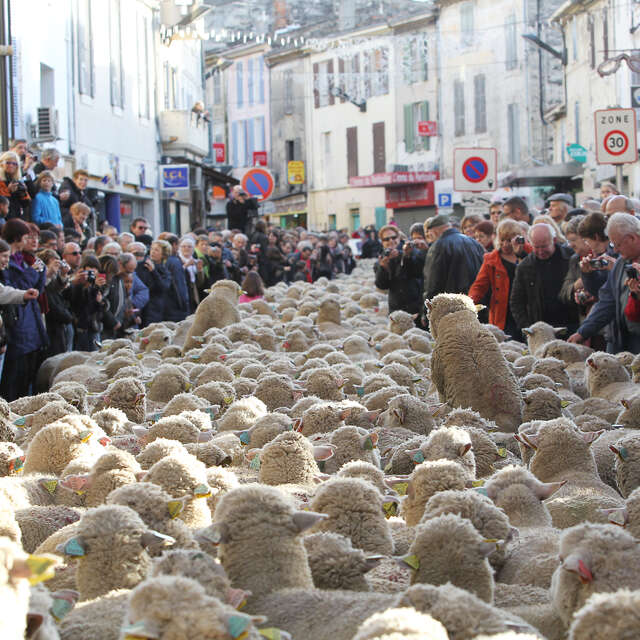Fête des Bergers et des Traditions