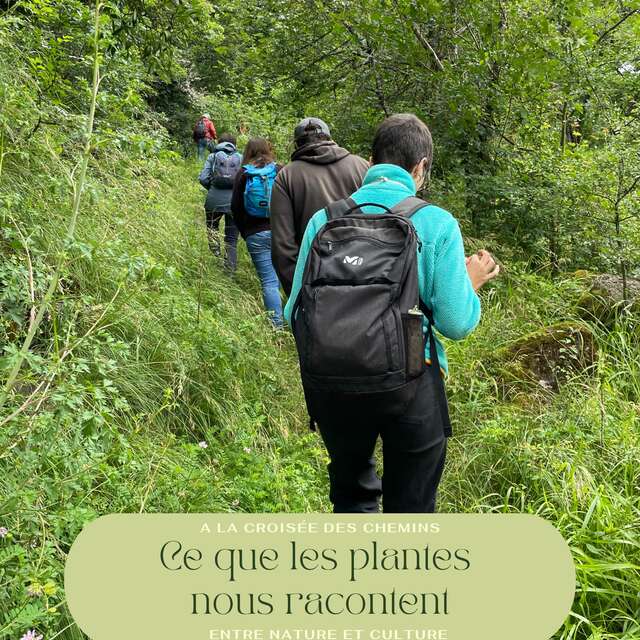 Balade immersive "Ce que les plantes nous racontent"