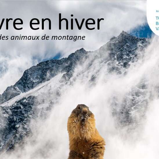 Projection du film "Survivre en hiver, le secret des animaux de montagne"