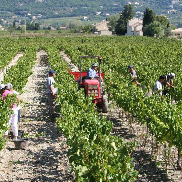 Domaine de l'Amauve