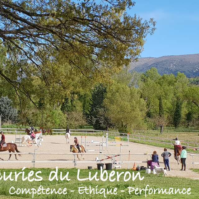 Les Ecuries du Luberon - Centre Equestre - Ecurie de propriétaire