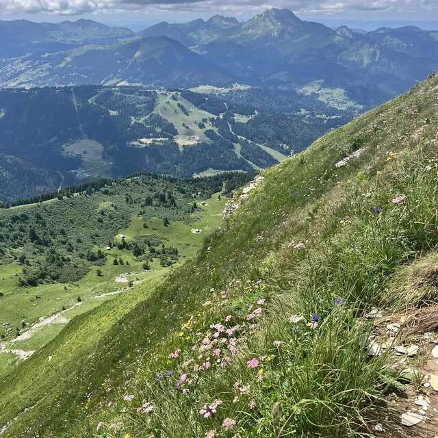 Pointe de Ressachaux