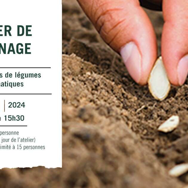 Atelier jardinage : semis de légumes et d'aromatiques