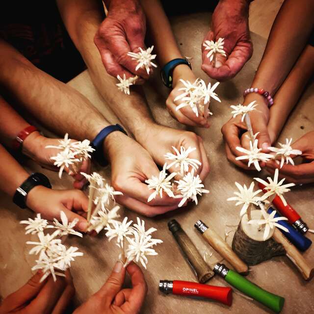 Mercredi des enfants : Taille ton edelweiss