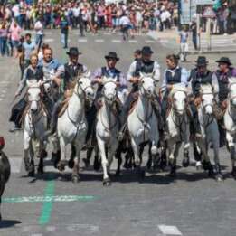 Feria - Concours d’abrivados