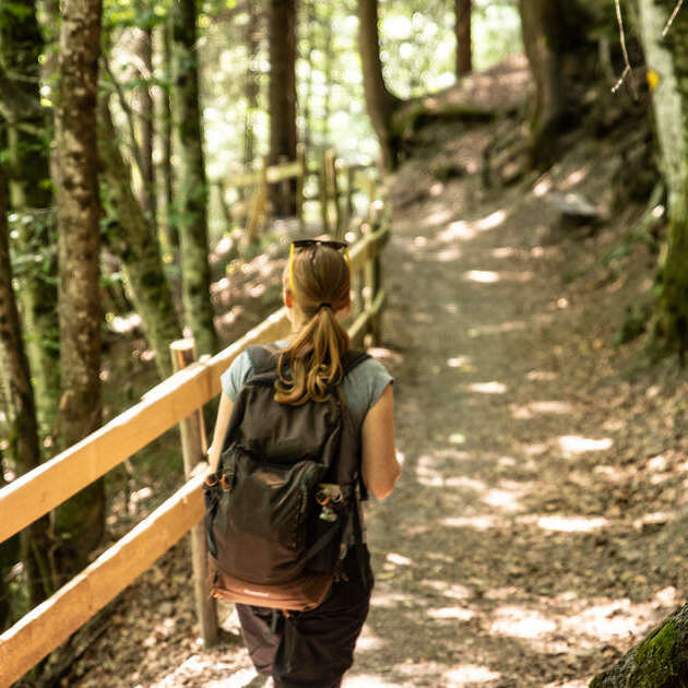 Chemin des poussettes