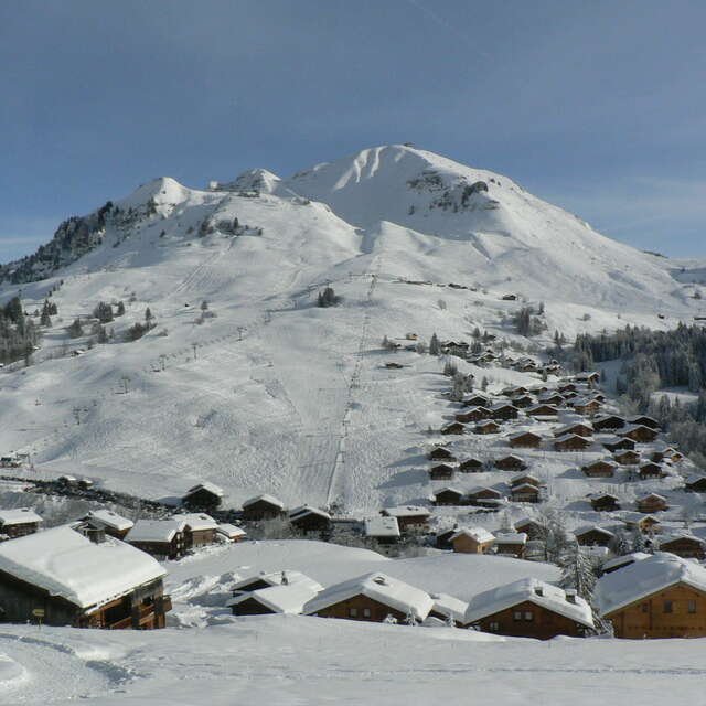 Route für Fußgänger - Schneeschuhwanderer 37 - La Bouvardière