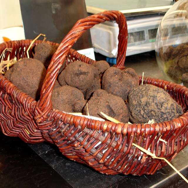 Fête de la truffe aux Halles