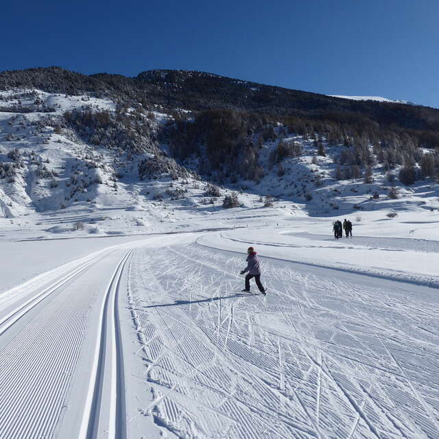 Skating et alternatif