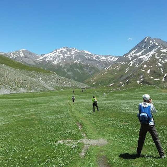 Randonnée pédestre