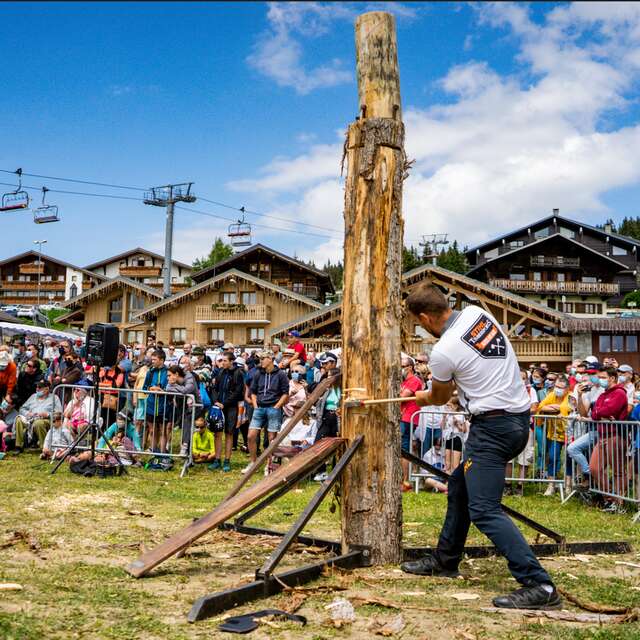 Wood Festival and Woodworking