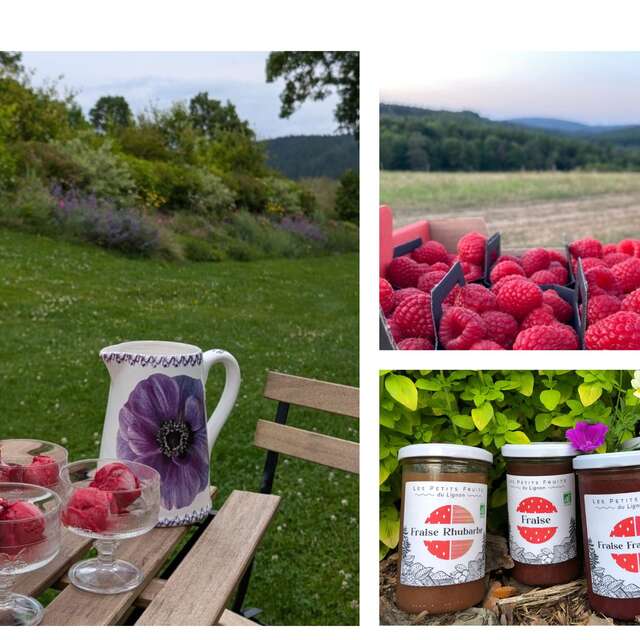 Les Petits Fruits du Lignon