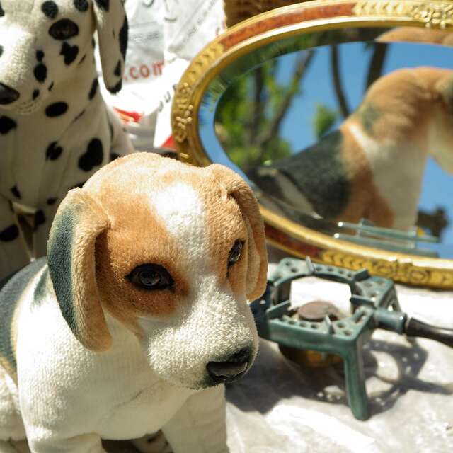 Anduze brocante