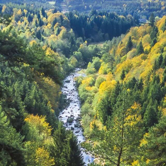 T53 - Les Gorges du Lignon