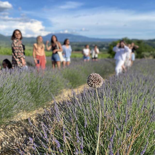 Youpi Tours