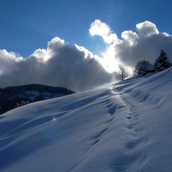 Tagesausflug auf Schneeschuhen