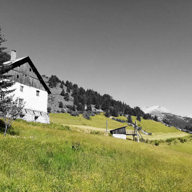 Rando curieuse : La saga de l'herbe