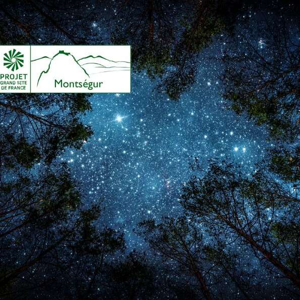 La nuit des étoiles