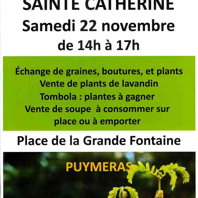 Saint Catherine's Day