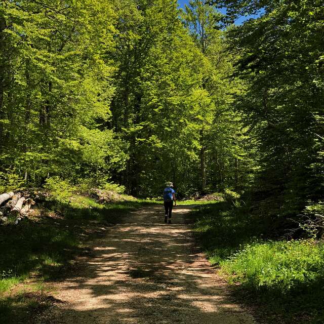 Hike: Tour de Retord