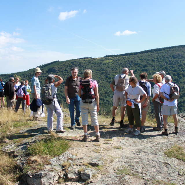 Marche de l'été